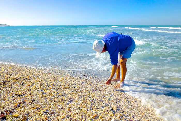 Sanibel & Captiva Islands