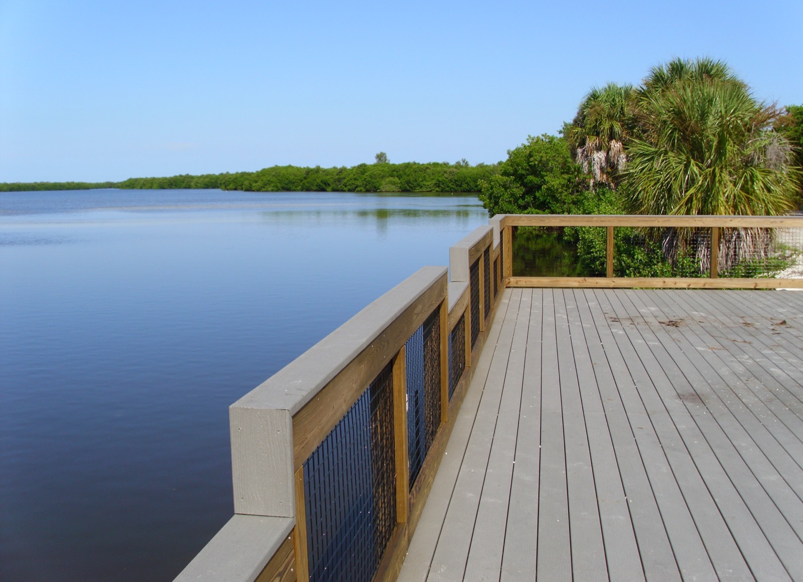 Mangrove estuary and shallow water viewed from the observation deck at J.N. Ding Darling National Wildlife Refuge on Sanibel Island, Florida