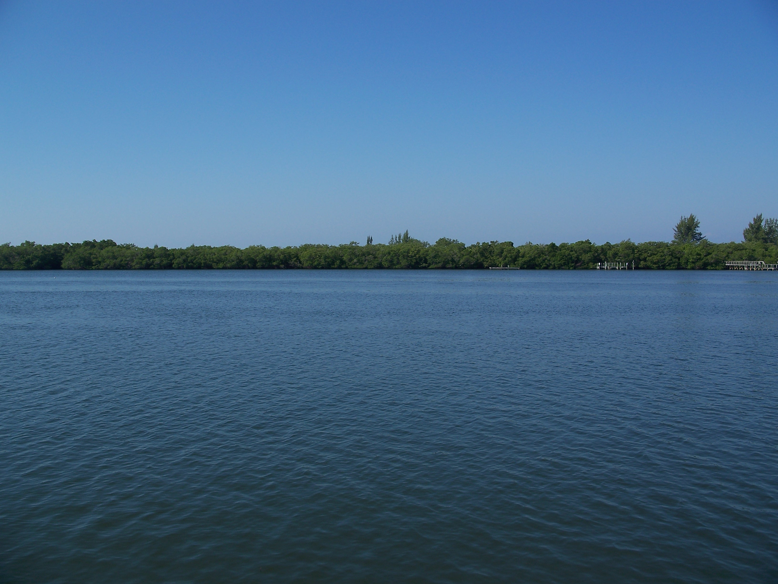 View of Don Pedro Island State Park's land base from the water near Placida, Florida