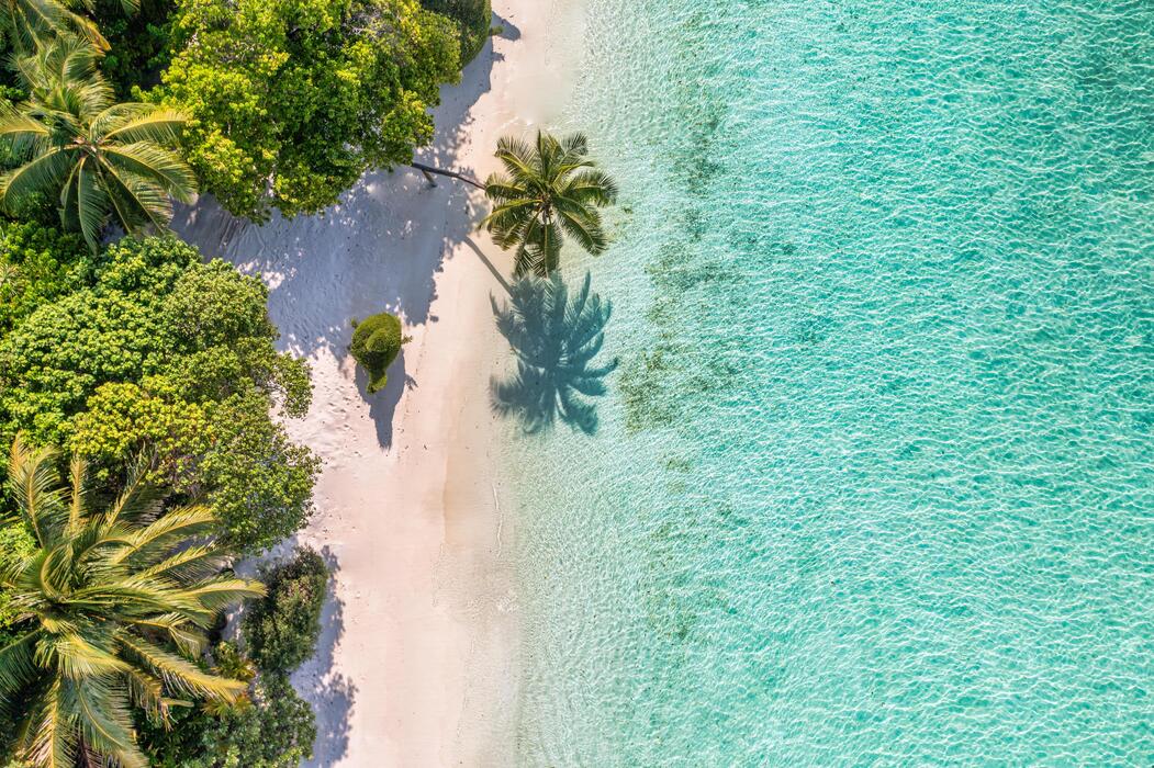 Florida Gulf Coast travel guides