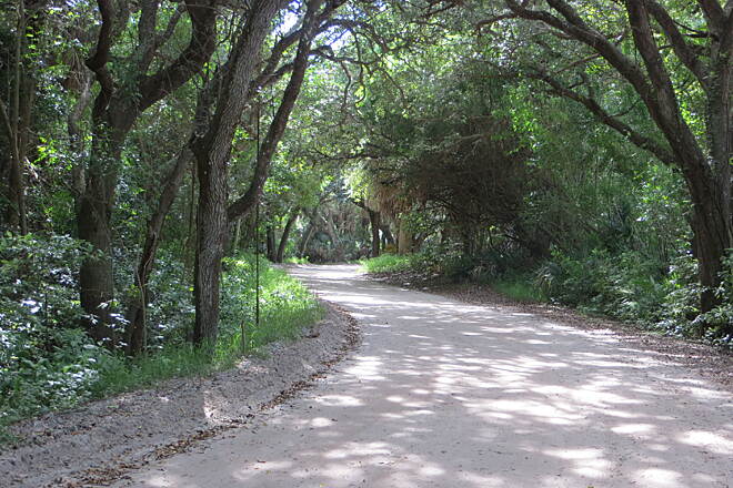 Historic Jungle Trail