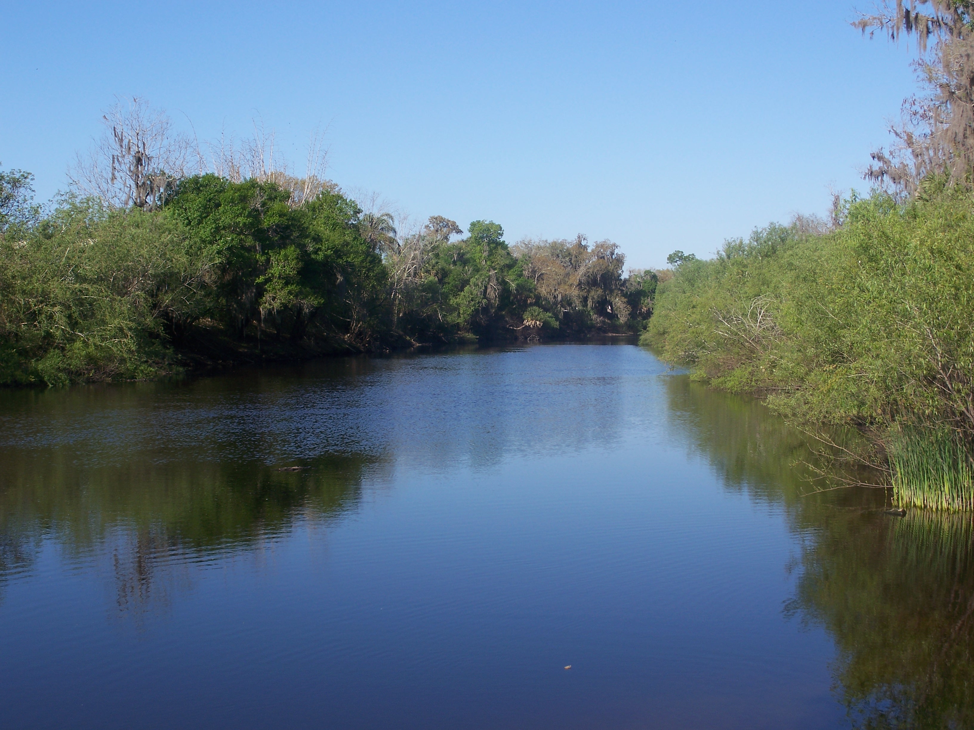 The Peace River near the old Peace River Bridge in Arcadia, DeSoto County, Florida